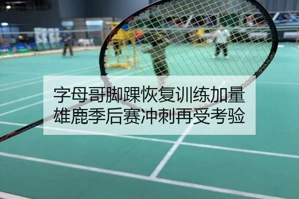 字母哥脚踝恢复训练加量 雄鹿季后赛冲刺再受考验